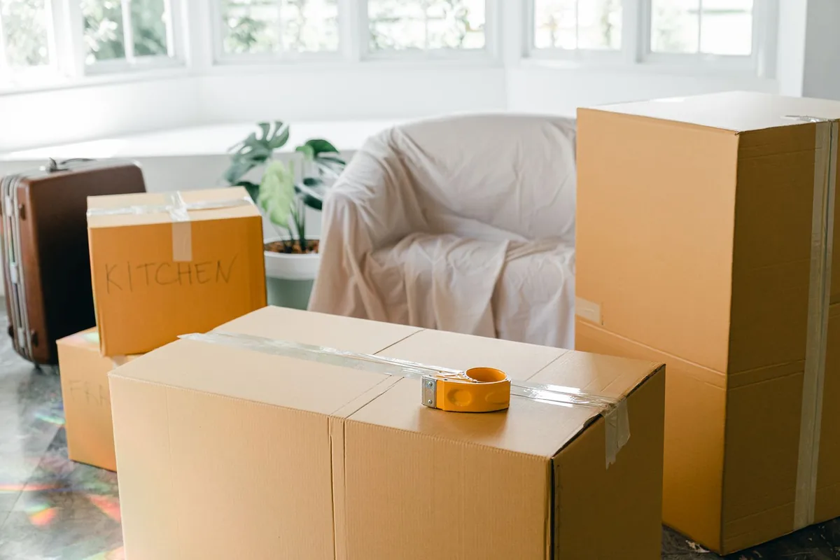 Hoarding Cleanup in Nederland, CO